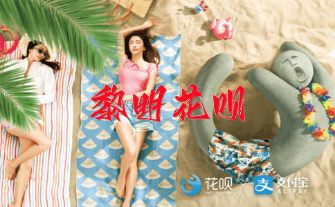 无恶不作花呗